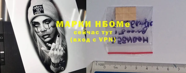 стаф Нея