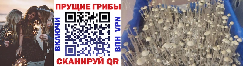Псилоцибиновые грибы мицелий  KRAKEN рабочий сайт  Верхняя Салда  купить  