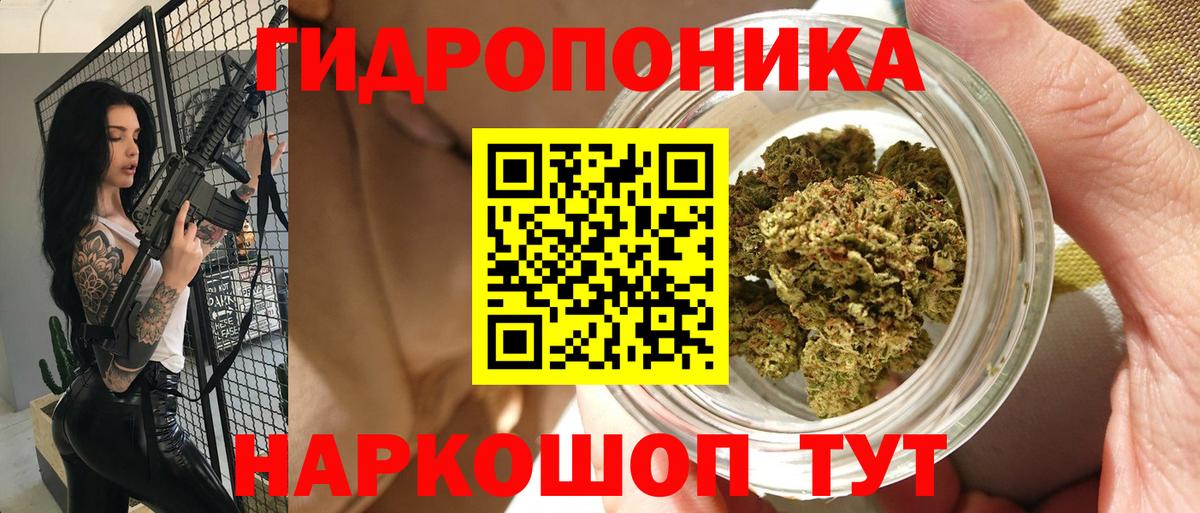 Бошки Шишки индика  Каннабис индика  Марихуана планчик  Верхняя Салда  Вход с VPN  Канабис THC 21% 